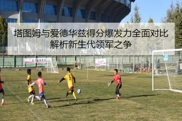 塔图姆与爱德华兹得分爆发力全面对比解析新生代领军之争