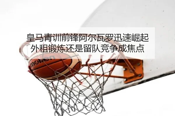 img_1781778907384_1867_1_647.jpg